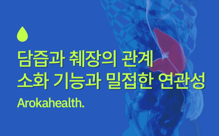 담즙-썸네일